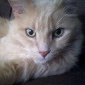 Meet your Posher, Jordan